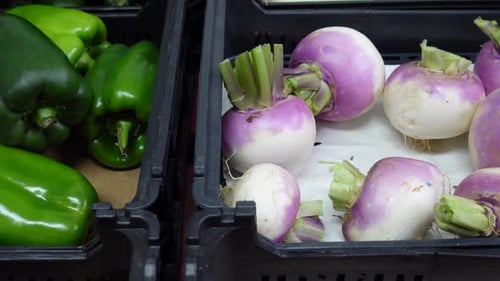 Fresh Vegetables and Fruits Farm Products