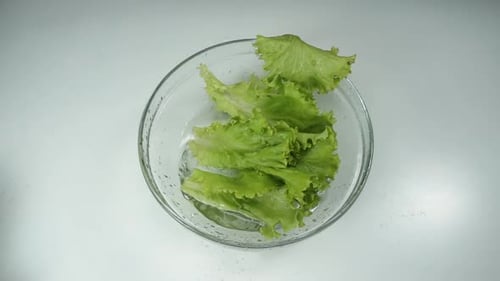Lechuga cayendo y salpicaduras de agua Hojas de lechuga verde fresca en cámara lenta en un recipiente de vidrio
