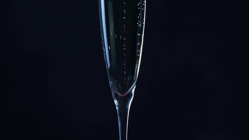 Close Up of Champagne Glass with Bubbles