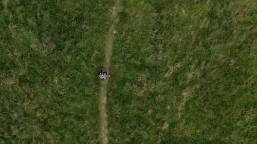 Aerial of a Man Walks Along the Pathway Through Green Meadow
