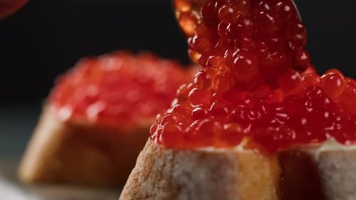 Red Caviar Topped Baguette Appetizer Close-Up