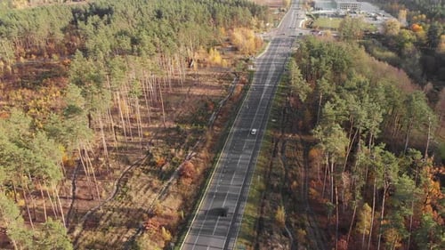 Speedy highway in forest