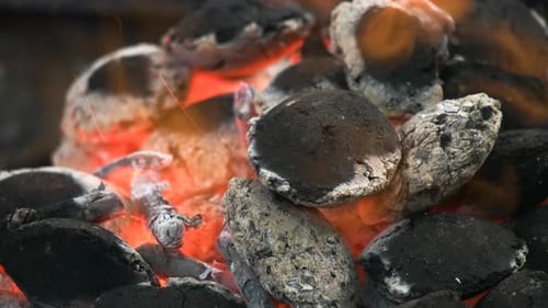 Charcoal Embers Glowing Among Charred Coal Pieces