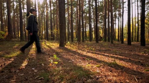 Woman Walking Through Peaceful Forest at Sunset