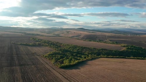 Beautiful Green Field at Sunset V2