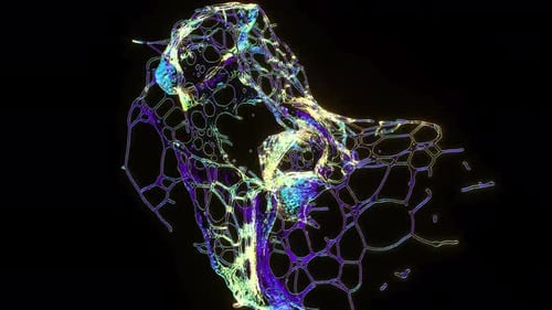 Water Splash Alpha Channel Liquid