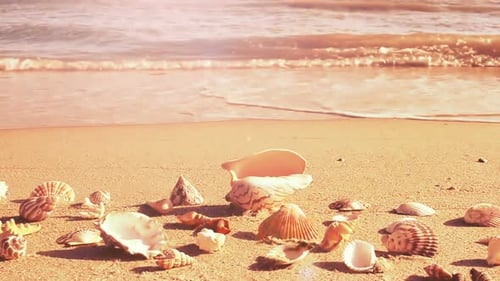 Beach 12