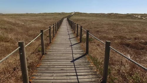 Wooden Boardwalk Through Coastal Grassland on Sunny Day