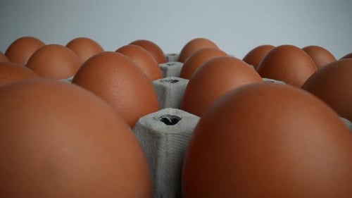 Brown Eggs Close Up in Cardboard Carton