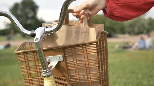 Mujer saca una bolsa de papel con comida de una cesta vintage en una bicicleta en un parque, entrega a domicilio