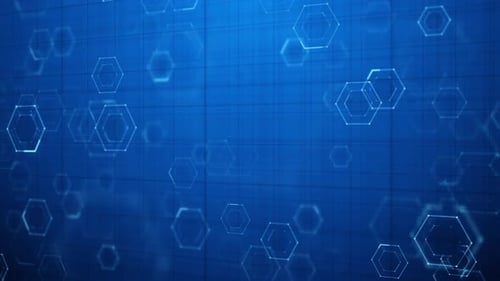 Hexagon Cyber World