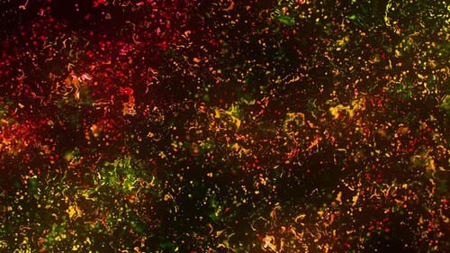 Colorful Organic Liquid Particles Motion Background