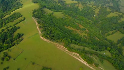 Survoler la campagne et la forêt magnifique Drone vidéo