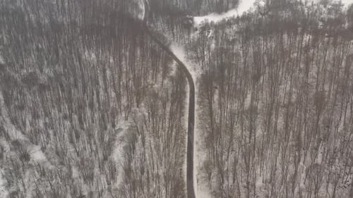 Snowed forest with curvy road 4K drone footage
