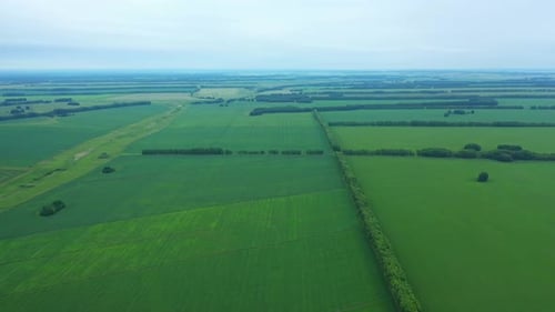 Aerial View of Agriculture Field in Countryside.