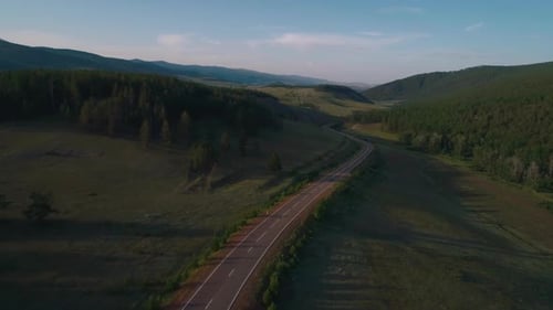 AERIAL, TOP DOWN: Dark Colored Car Driving Down an Asphalt Road Crossing the Vast Forest on a Sunny