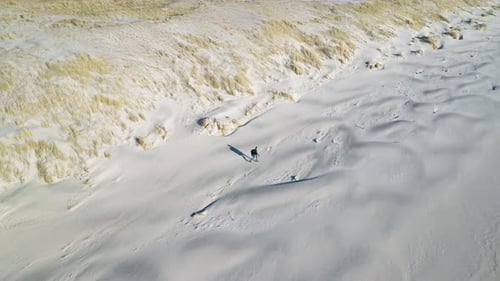 Traveler Hiking On The Sandy Beach At Seaside