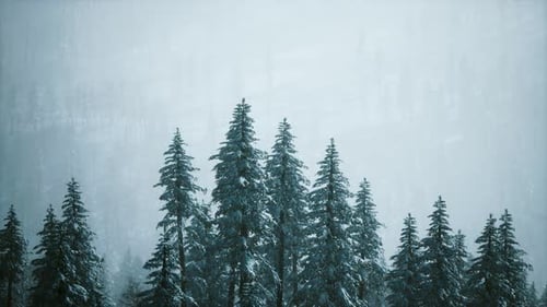Snowy Winter Forest Pan with Falling Snow