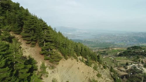 Nature Forest And Mountain Aerial View