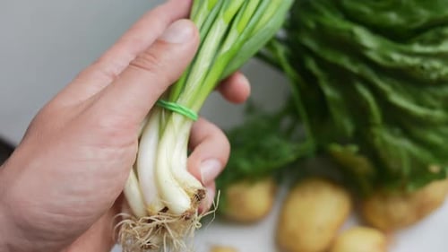 Male Hand Holding Green Onion Concept of Proper Nutrition