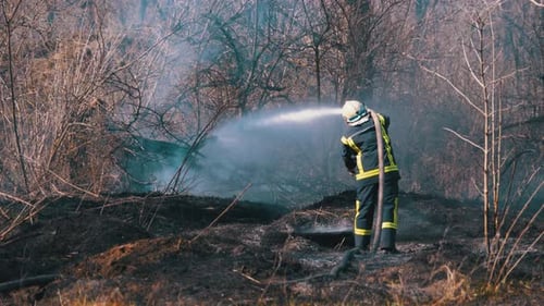 Firefighter in Equipment Extinguish Forest Fire with Fire Hose. Wood, Spring Day