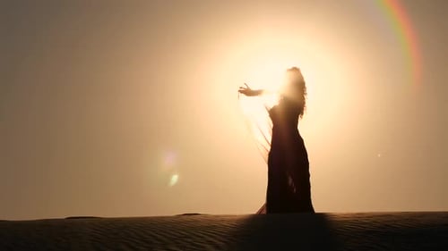 La bailarina hace movimientos sexuales con su cuerpo. silueta