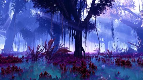Rayons de soleil dans la jungle