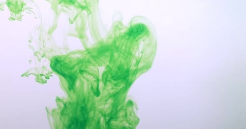 Green Color Paint Ink Drops in Water at White Background, Inky Cloud Flowing Underwater, Abstract