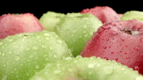 Fresh Green and Red Apples Closeup Macro Shot of Fruits and Water Drops