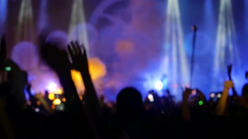 Excited Crowd at Energetic Concert