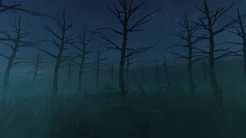 Haunted Forest