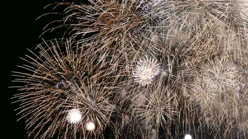 Colorful Firework display at night on sky background