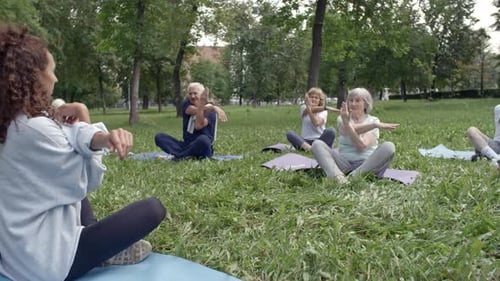 Instructor Leads Seniors in Gentle Exercise in Park