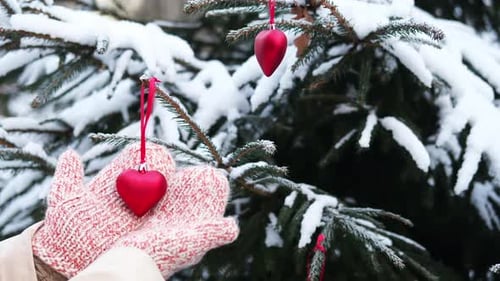 Woman hand decorates a branch of a Christmas tree bauble in the shape of a heart