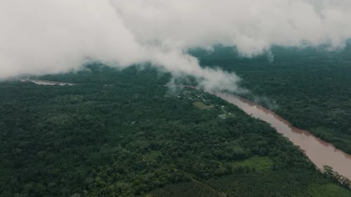 Volando a través de las nubes sobre la copa de los árboles en la selva tropical en la Amazonía de Ecuador. Zumbido aéreo