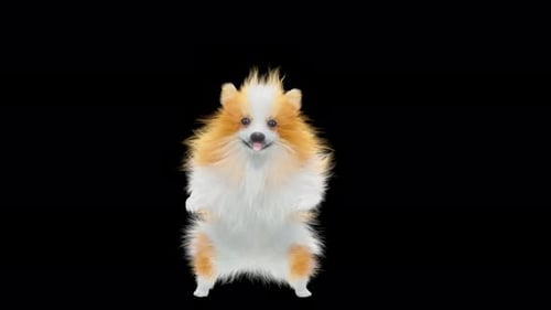 Animated Fluffy Puppy Dog Dancing Seamless Loop
