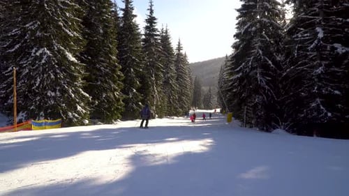 Skiers Go Down the Slope in a Ski Resort