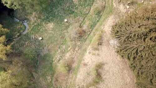 Luftaufnahme der europäischen Frühlingslandschaft