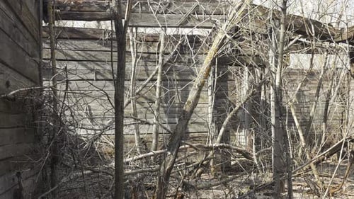 Abandoned Ruins