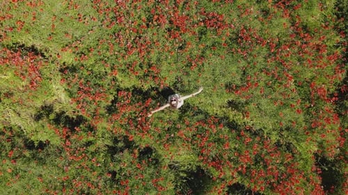A Happy Girl in a Poppy Field