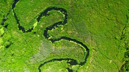 Small river among the green swamps, view from above, Poland