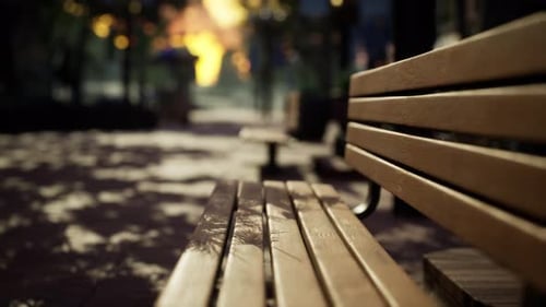 Empty City Park During the Covid 19 Pandemic