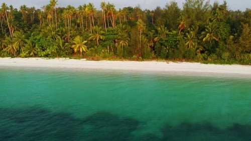 Aerial drone: uncontaminated coastline tropical beach caribbean sea coral reef palm tree woodland