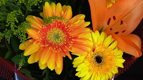 Bright Flower Bouquet Close-Up