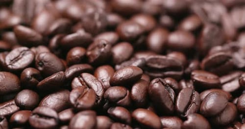 Roasted coffee bean