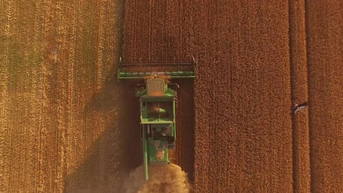Golden Field with Combine