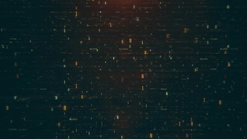 Data Scheme Loop 3-in Pack