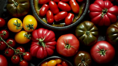 Various Kinds of Tomatoes Placed on Dark Rusty Table
