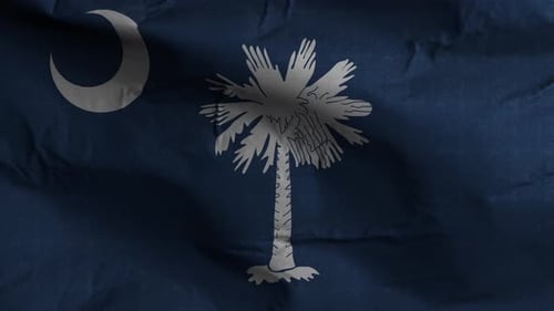 Seamlessly Waving South Carolina Flag Animation
