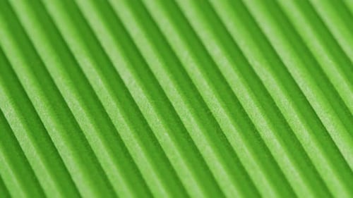 Green Ribbed Paper Closeup